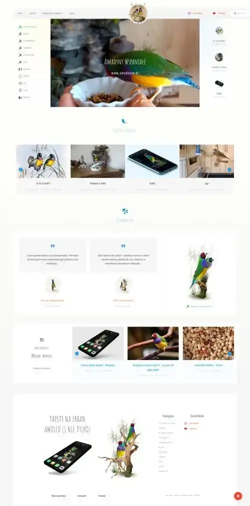 Amadynce — blog tematyczny